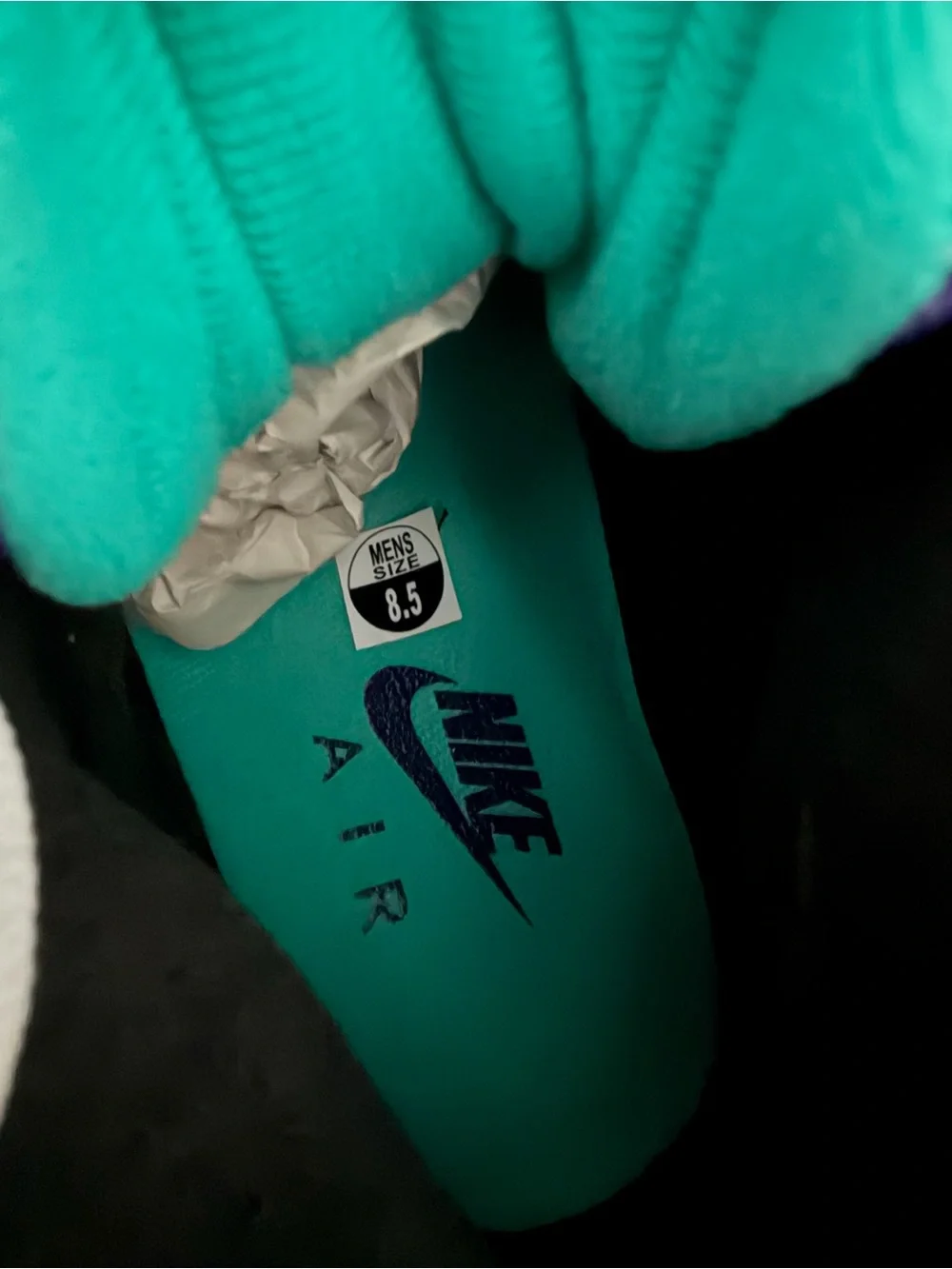 Jordan Shoe(Grape 5’s)